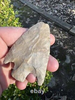 Ancient Authentic Giant Fort Payne Chert Wade Arrowhead From NEMississippi