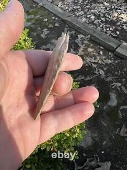 Ancient Authentic Giant Fort Payne Chert Wade Arrowhead From NEMississippi