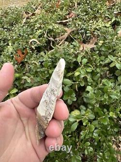 Ancient Authentic Impressive Sedalia Arrowhead From Missouri