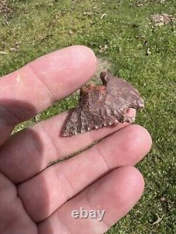 Ancient Authentic Red Jasper Pinetree From North Mississippi