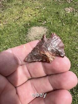 Ancient Authentic Red Jasper Pinetree From North Mississippi