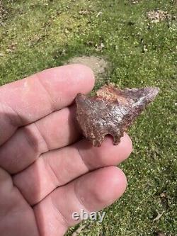 Ancient Authentic Red Jasper Pinetree From North Mississippi