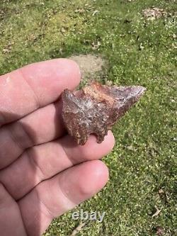 Ancient Authentic Red Jasper Pinetree From North Mississippi