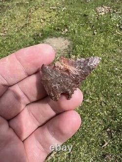 Ancient Authentic Red Jasper Pinetree From North Mississippi