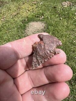 Ancient Authentic Red Jasper Pinetree From North Mississippi