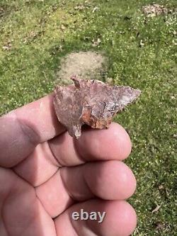 Ancient Authentic Red Jasper Pinetree From North Mississippi