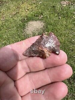 Ancient Authentic Red Jasper Pinetree From North Mississippi