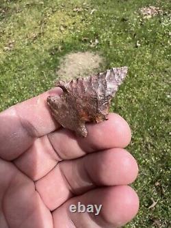 Ancient Authentic Red Jasper Pinetree From North Mississippi