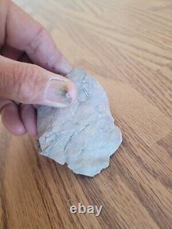 Ancient Leaf Fossil Native American Stone Effigy Rock Art, Artifacts, Tools