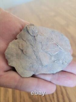 Ancient Leaf Fossil Native American Stone Effigy Rock Art, Artifacts, Tools