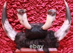 Antique Crow Native American Indian Split Buffalo Horn Bonnet early 19th Century