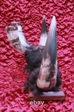 Antique Crow Native American Indian Split Buffalo Horn Bonnet early 19th Century