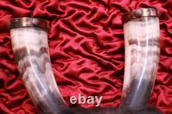 Antique Crow Native American Indian Split Buffalo Horn Bonnet early 19th Century