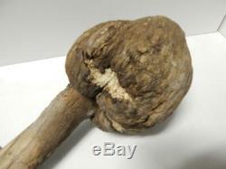 Antique Woodlands Indian Natural Burl War Club Very Early + Old