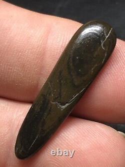 Archaic Indian Camp Site Polished Fossil Bone From The Wolf Fam. Coll