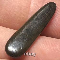 Archaic Indian Camp Site Polished Fossil Bone From The Wolf Fam. Coll