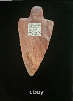 Arrowhead Adena Arrowhead 4 1/4 Inch Found Madison County Illinois (A-3)