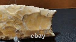 Authentic Clovis Point Early Paleo (12,500 10,600 BP) Comes with Butler COA