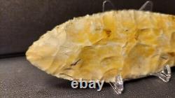 Authentic Clovis Point Early Paleo (12,500 10,600 BP) Comes with Butler COA