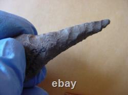 Authentic Dalton Drill, Early Archaic, 10,000-9200 B. P. Found In Missouri