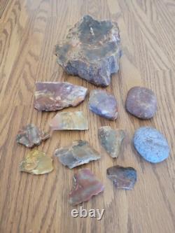 Bird / Dog Native American Indian Stone Effigy Rock Art, Artifacts, Tools