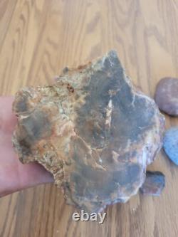 Bird / Dog Native American Indian Stone Effigy Rock Art, Artifacts, Tools
