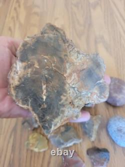Bird / Dog Native American Indian Stone Effigy Rock Art, Artifacts, Tools