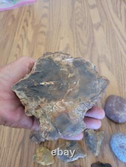 Bird / Dog Native American Indian Stone Effigy Rock Art, Artifacts, Tools