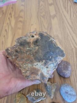 Bird / Dog Native American Indian Stone Effigy Rock Art, Artifacts, Tools