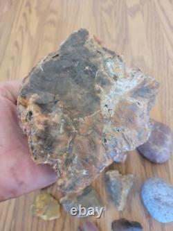 Bird / Dog Native American Indian Stone Effigy Rock Art, Artifacts, Tools
