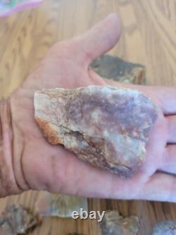 Bird / Dog Native American Indian Stone Effigy Rock Art, Artifacts, Tools