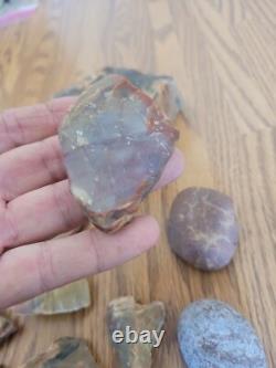Bird / Dog Native American Indian Stone Effigy Rock Art, Artifacts, Tools