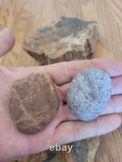 Bird / Dog Native American Indian Stone Effigy Rock Art, Artifacts, Tools