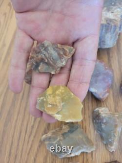 Bird / Dog Native American Indian Stone Effigy Rock Art, Artifacts, Tools