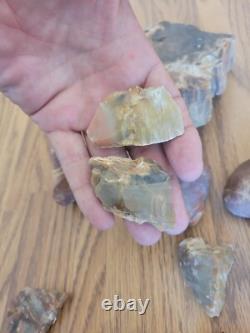 Bird / Dog Native American Indian Stone Effigy Rock Art, Artifacts, Tools