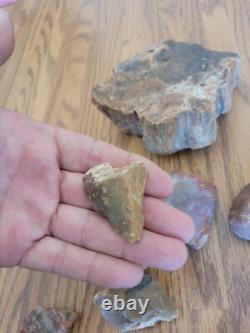 Bird / Dog Native American Indian Stone Effigy Rock Art, Artifacts, Tools