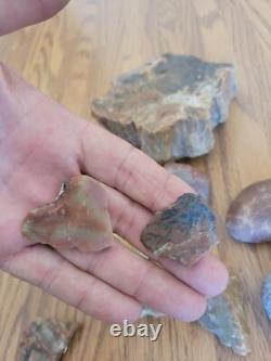 Bird / Dog Native American Indian Stone Effigy Rock Art, Artifacts, Tools