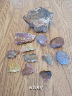 Bird / Dog Native American Indian Stone Effigy Rock Art, Artifacts, Tools