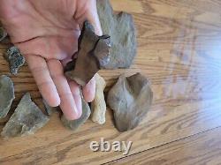 Bird Effigy Hand Table Native American Indian Stone, Artifacts, Tools. Rock Art