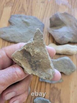 Bird Effigy Hand Table Native American Indian Stone, Artifacts, Tools. Rock Art