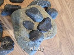 Black Jade Cougar Native American Indian Stone Effigy RockArt, Artifacts, Tools