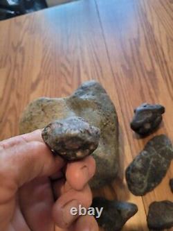 Black Jade Cougar Native American Indian Stone Effigy RockArt, Artifacts, Tools