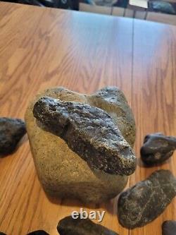 Black Jade Cougar Native American Indian Stone Effigy RockArt, Artifacts, Tools