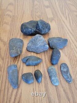 Black Jade Dino Native American Indian Stone Effigy Rock Art, Artifacts, Tools