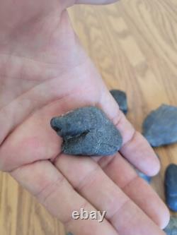 Black Jade Dino Native American Indian Stone Effigy Rock Art, Artifacts, Tools
