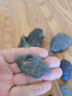 Black Jade Dino Native American Indian Stone Effigy Rock Art, Artifacts, Tools
