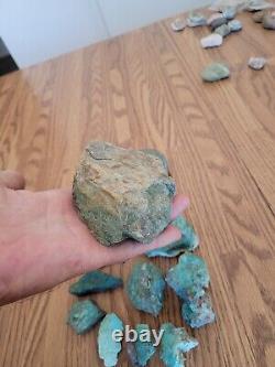 Blue Coyote Native American Indian Stone Effigy Rock Art, Artifacts, Tools