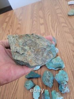 Blue Coyote Native American Indian Stone Effigy Rock Art, Artifacts, Tools