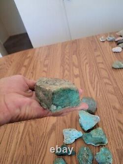 Blue Coyote Native American Indian Stone Effigy Rock Art, Artifacts, Tools