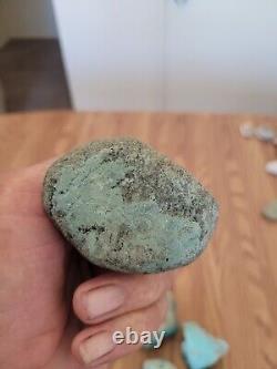 Blue Coyote Native American Indian Stone Effigy Rock Art, Artifacts, Tools